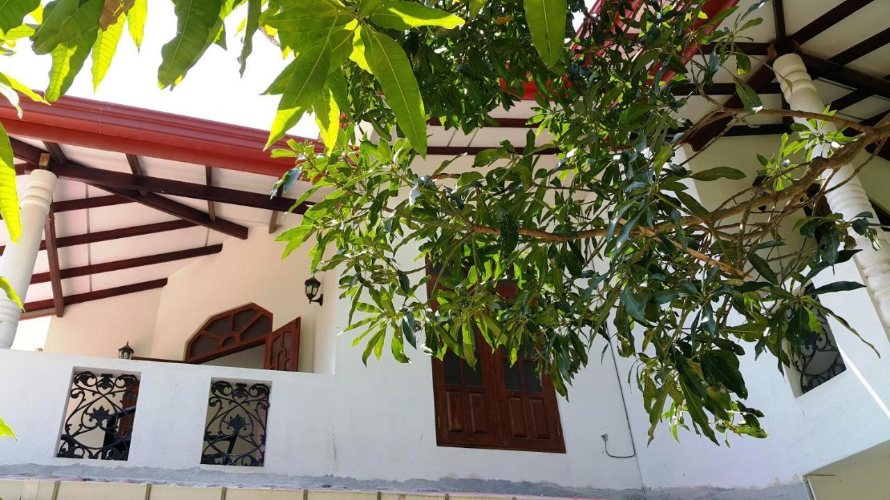 New Chili Lodge Mirissa Exterior photo